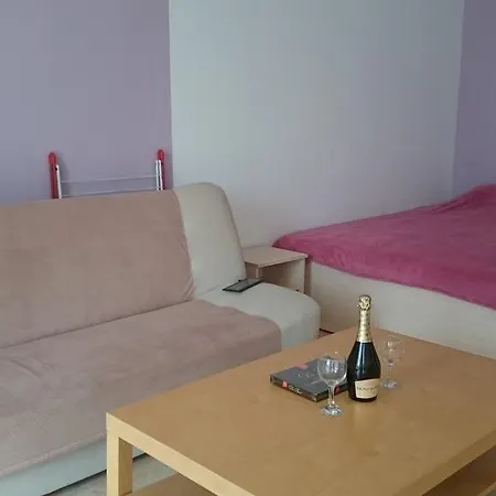 Apartment Kamelia B1-3 *